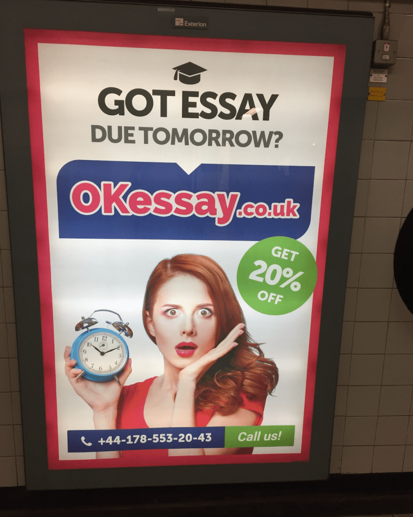 Picture of an advert for an essay mill